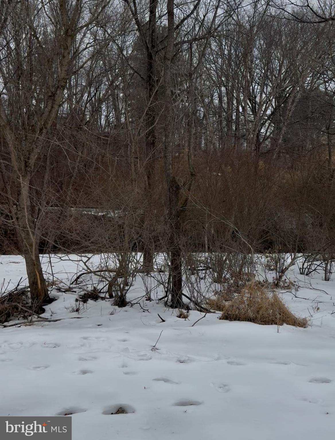 Flag Marsh Rd Mount Mount Airy, MD 21771 - Photo 7 of 35 a view of a yard covered in snow