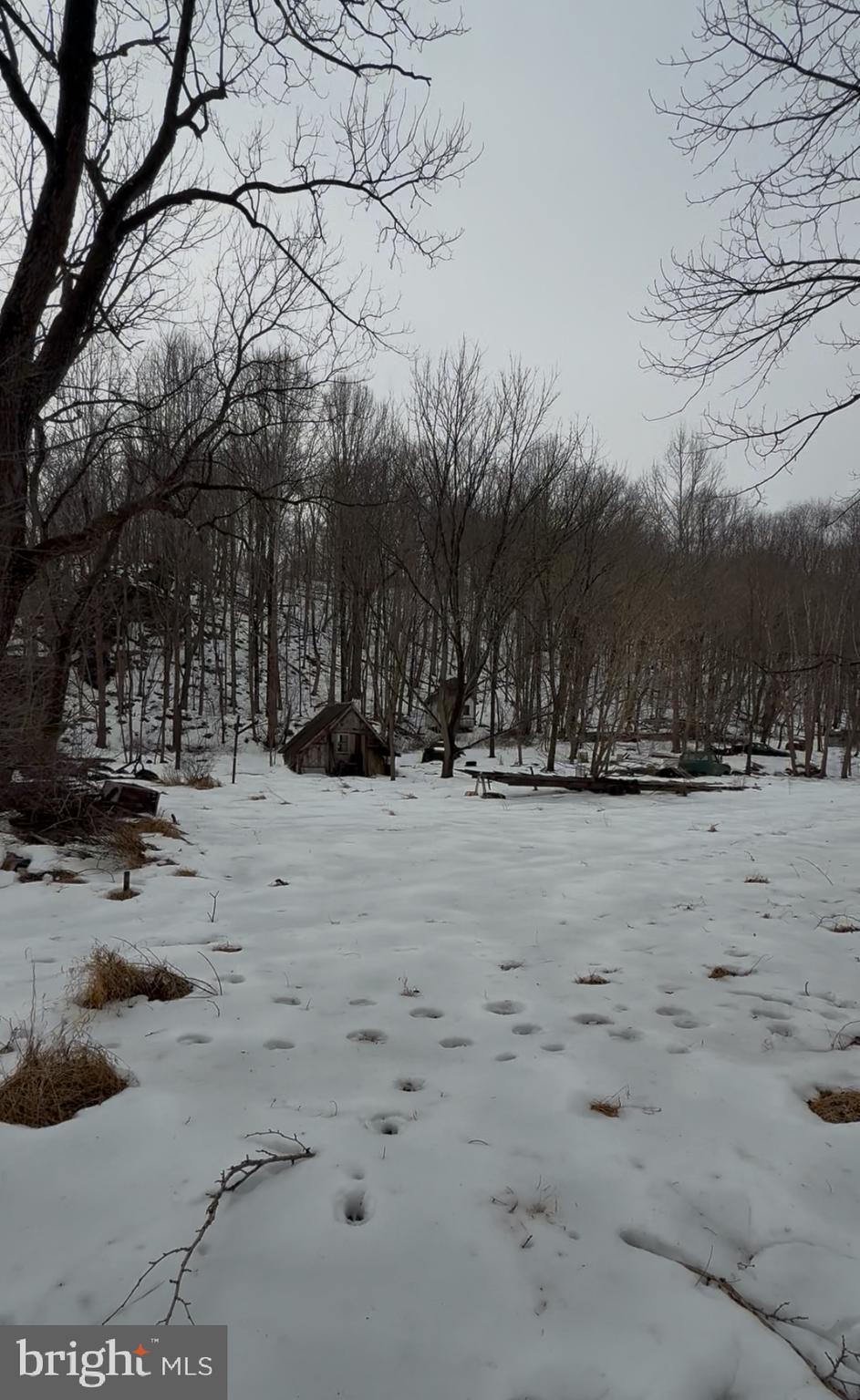 Flag Marsh Rd Mount Mount Airy, MD 21771 - Photo 8 of 35 a view of road with snow