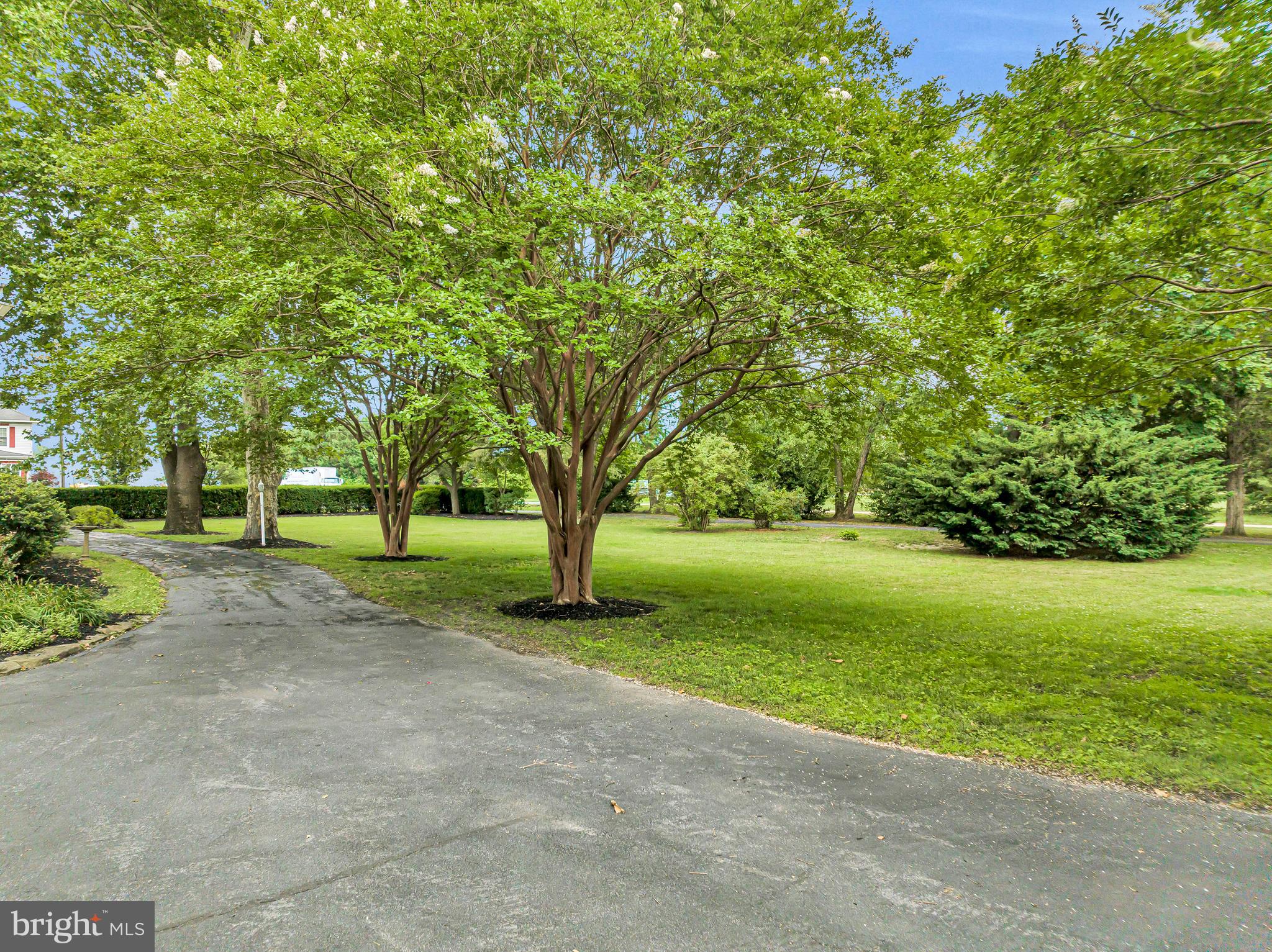 235 Pine Road Hammonton, NJ 08037 - Photo 22 of 67