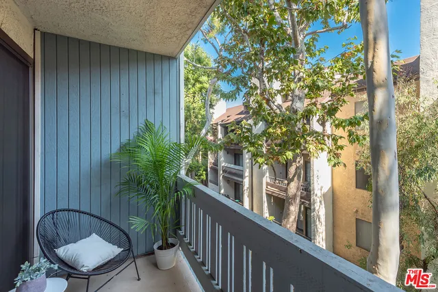 a view of balcony with a plant and windows