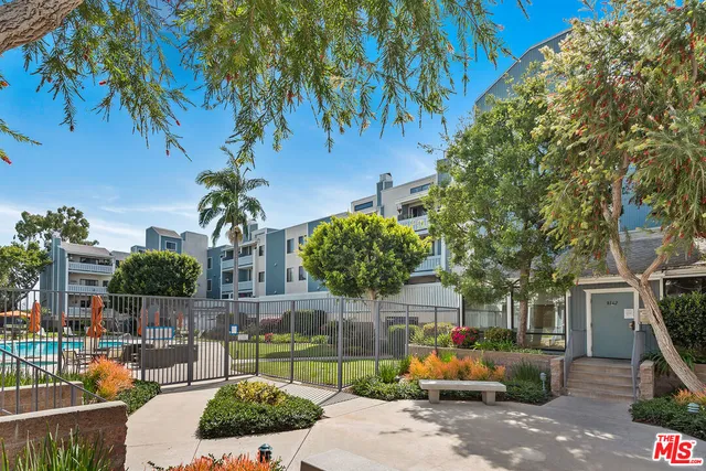 a view of a park with large trees