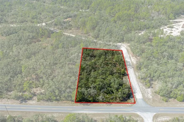 $44,000 | 0 Short Stone Drive, Webster, FL 33597