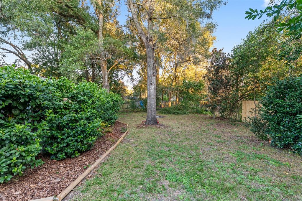 5300 Southeast 102nd Place Belleview, FL 34420 - Photo 32 of 41 a view of a yard with plants and trees