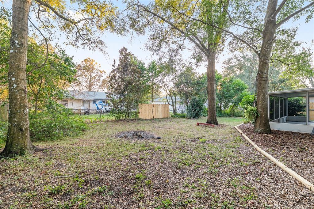 5300 Southeast 102nd Place Belleview, FL 34420 - Photo 33 of 41 a backyard of a house with large trees and plants
