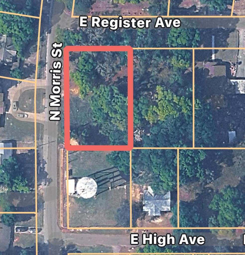 0 North Morris Street Geneva, AL 36340 - Photo 1 of 6
