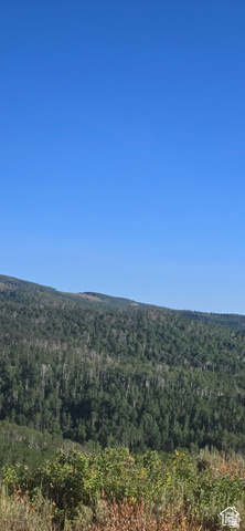 4000 Ant Flat Road, Unit 53 Huntsville, UT 84317 - Photo 11 of 11 Mountain view featuring a forest