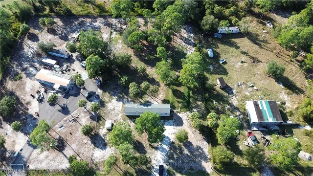 a view of a garden with plants