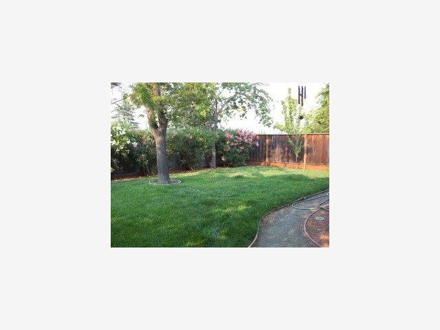 10454 Merriman Road Cupertino, CA 95014 - Photo 3 of 4 Gallery Image 3