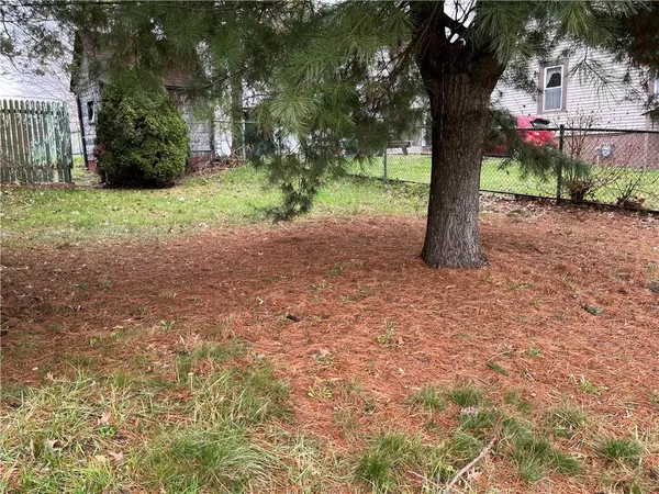 a view of a tree in the middle of a yard
