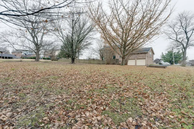 a view of back yard with trees