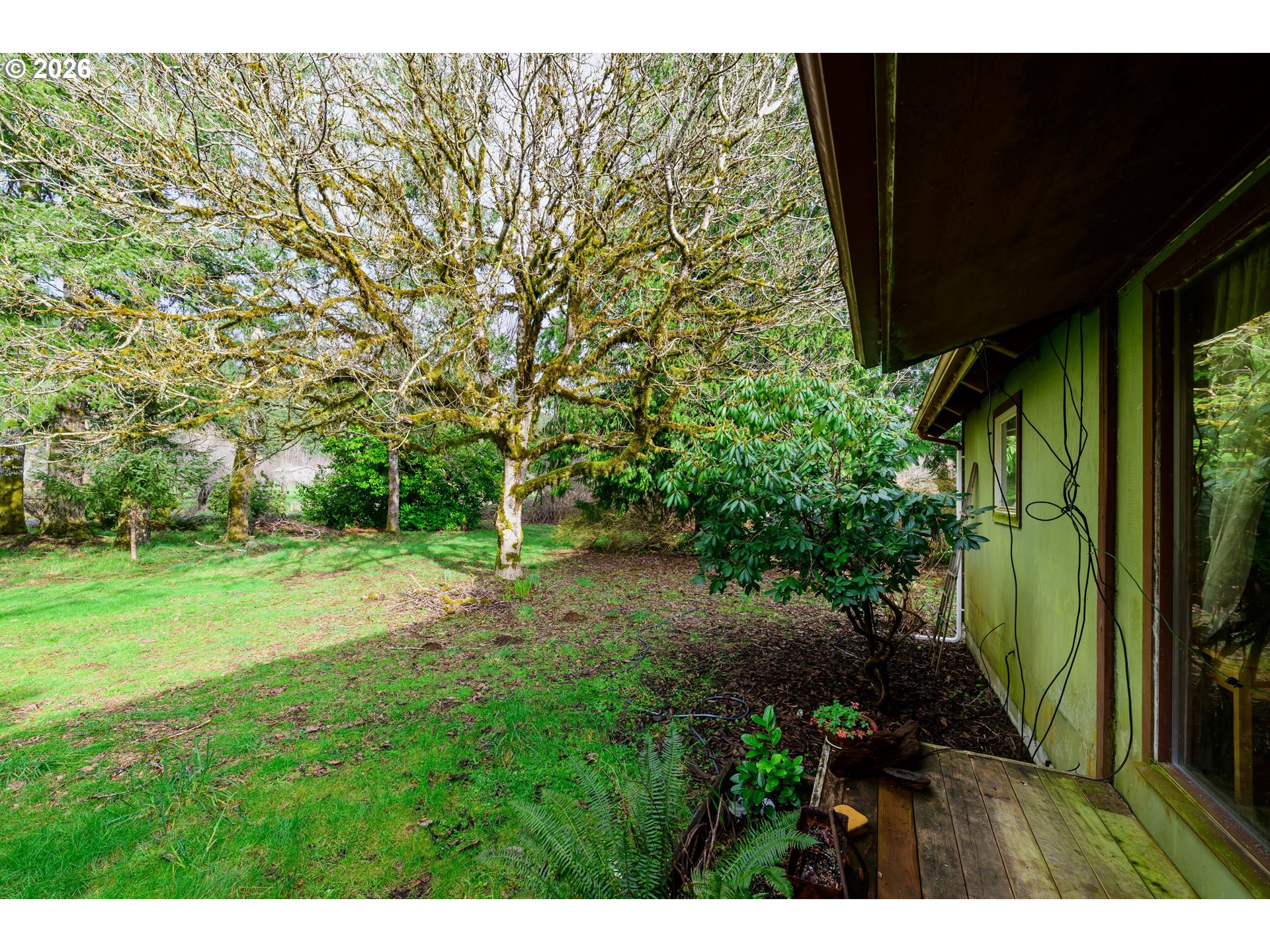 1377 Moonshine Park Road Logsden, OR 97357 - Photo 36 of 40 a view of backyard with green space