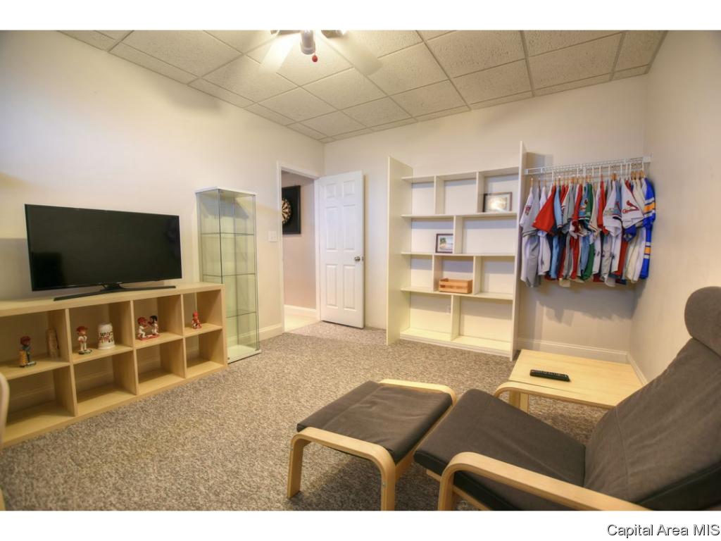 24261 Brierwood Road Athens, IL 62613 - Photo 28 of 36 Gallery Image 28
