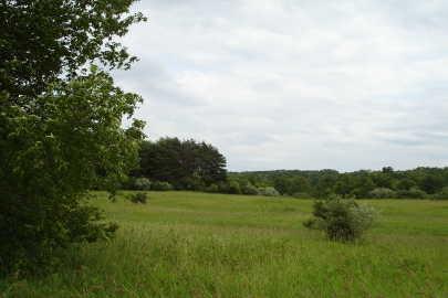 7780 Belding Road Northeast Rockford, MI 49341 - Photo 1 of 1 Primary Photo