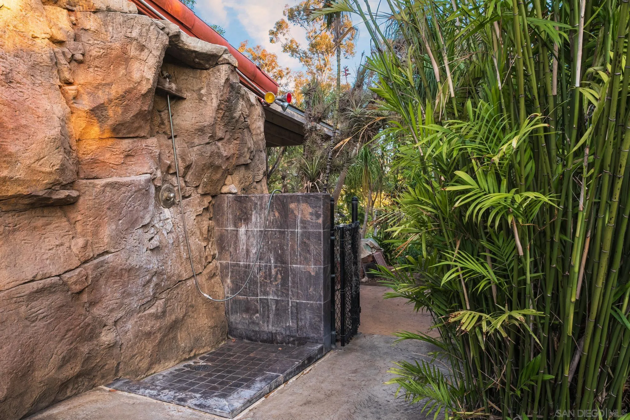 1010 Myrtle Way San Diego, CA 92103 - Photo 44 of 70 a close up of a plant in a garden