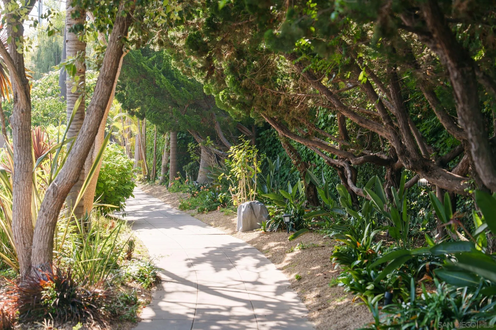 1010 Myrtle Way San Diego, CA 92103 - Photo 52 of 70 a view of a garden with large tree