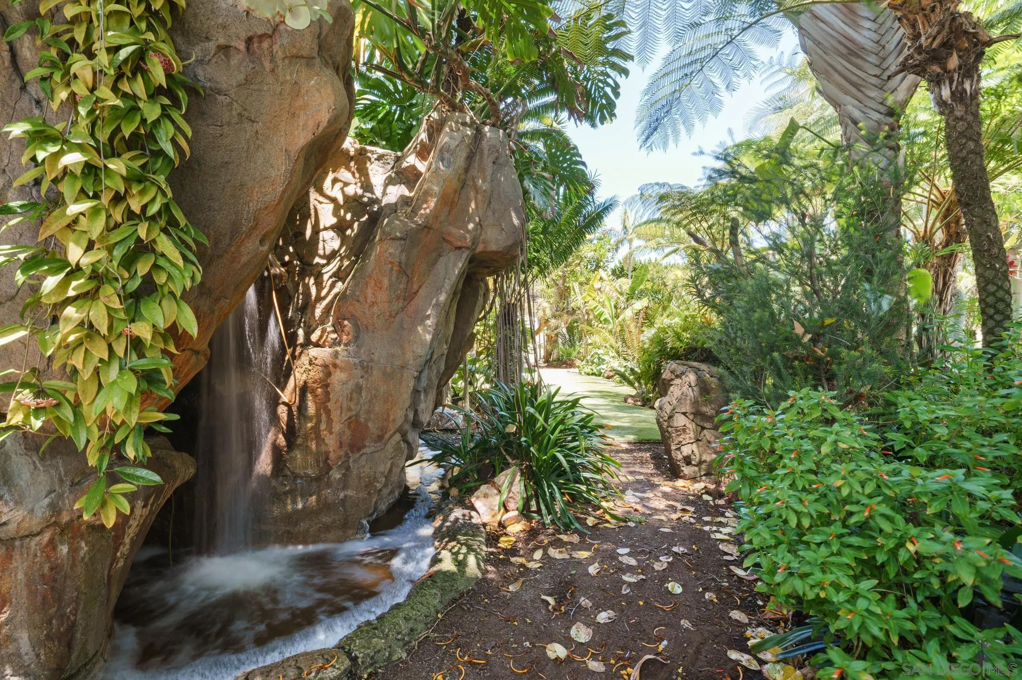 1010 Myrtle Way San Diego, CA 92103 - Photo 55 of 70 a view of flowers in middle of a yard