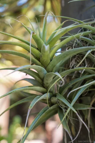 $5,000,000 | 1010 Myrtle Way, San Diego, CA 92103