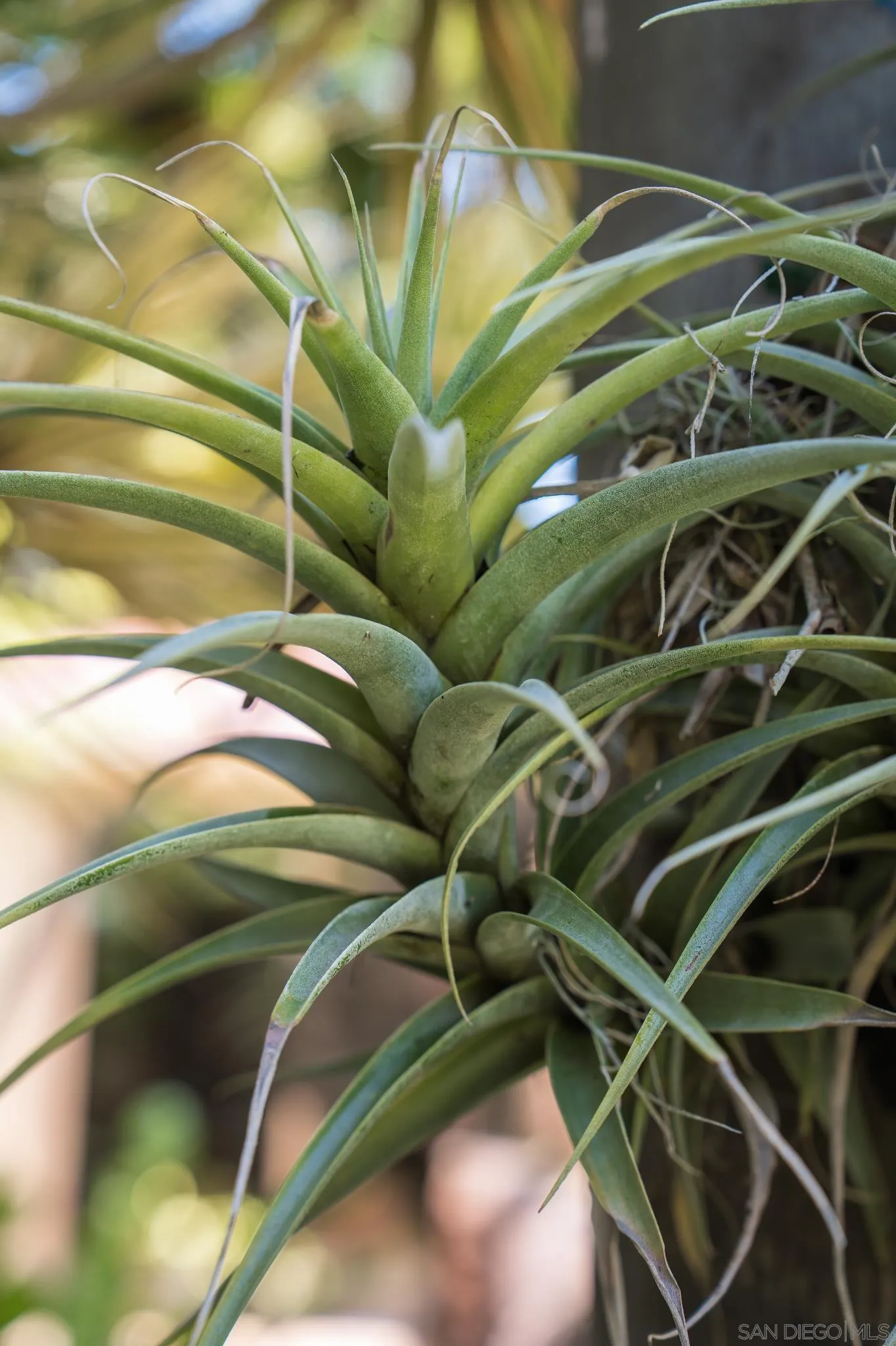 1010 Myrtle Way San Diego, CA 92103 - Photo 57 of 70 a view of a fan