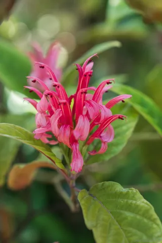 $5,000,000 | 1010 Myrtle Way, San Diego, CA 92103