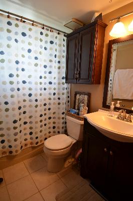 10643 Major Avenue, Unit 3D Chicago Ridge, IL 60415 - Photo 8 of 8 a bathroom with a sink toilet and shower