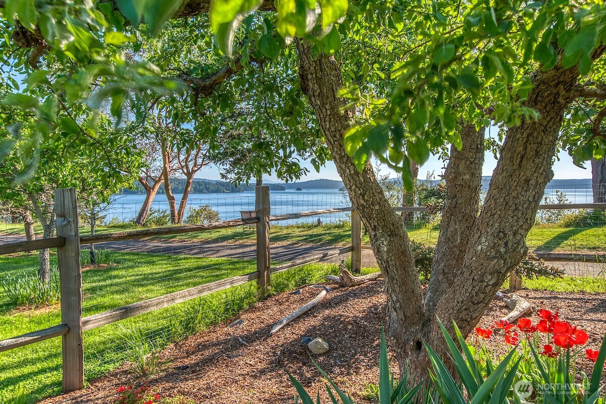 5686 Deer Harbor Road Orcas Island, WA 98243 - Photo 10 of 40