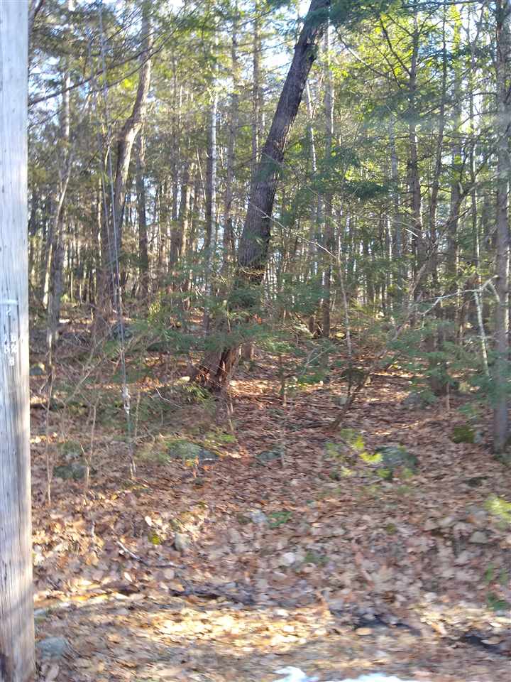 Forest Road, Unit 7 Wolfeboro, NH 03894 - Photo 3 of 10 Gallery Image 3