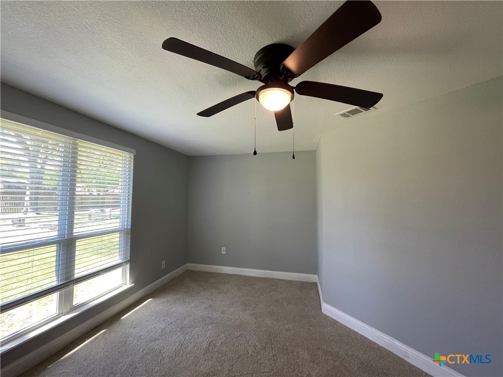 3605 Buffalo Trail Temple, TX 76504 - Photo 16 of 31