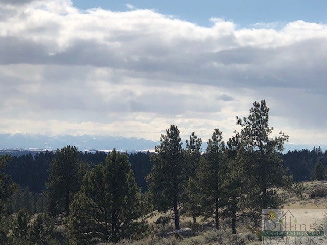Lot 98 Pinecrest Road Columbus, MT 59019 - Photo 1 of 1 Gallery Image 1