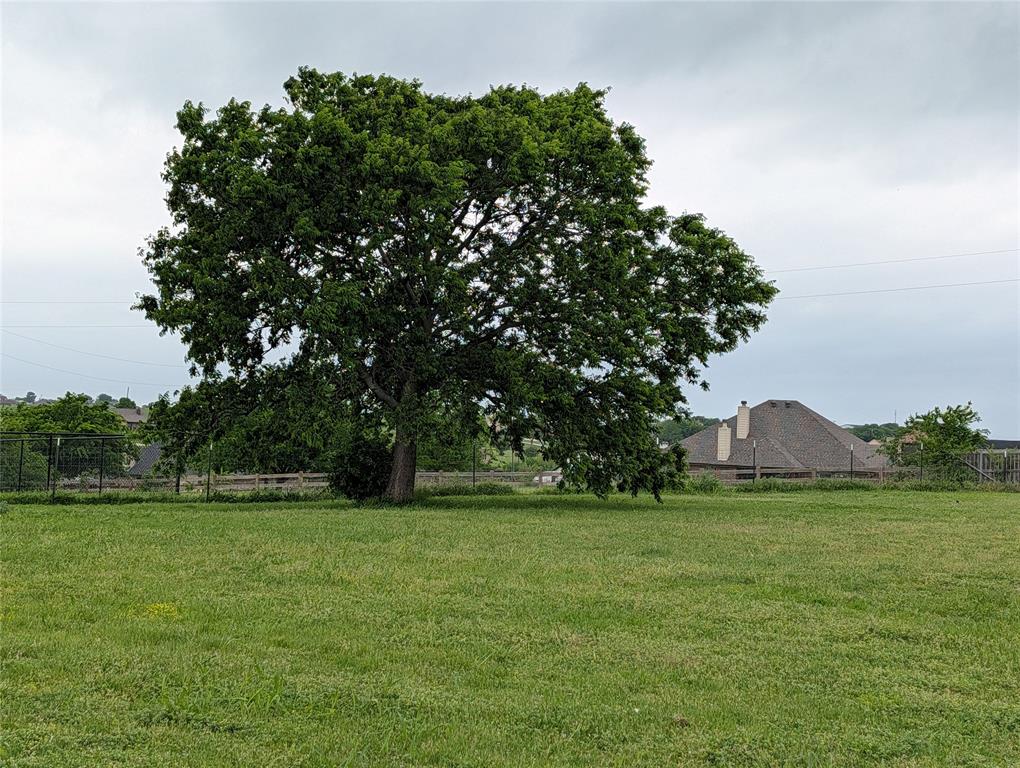 297 Lone Tree Lane Decatur, TX 76234 - Photo 26 of 26 Expansive green lawn with a mature tree