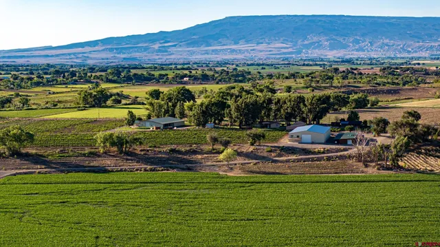 a view of a lush green field with houses