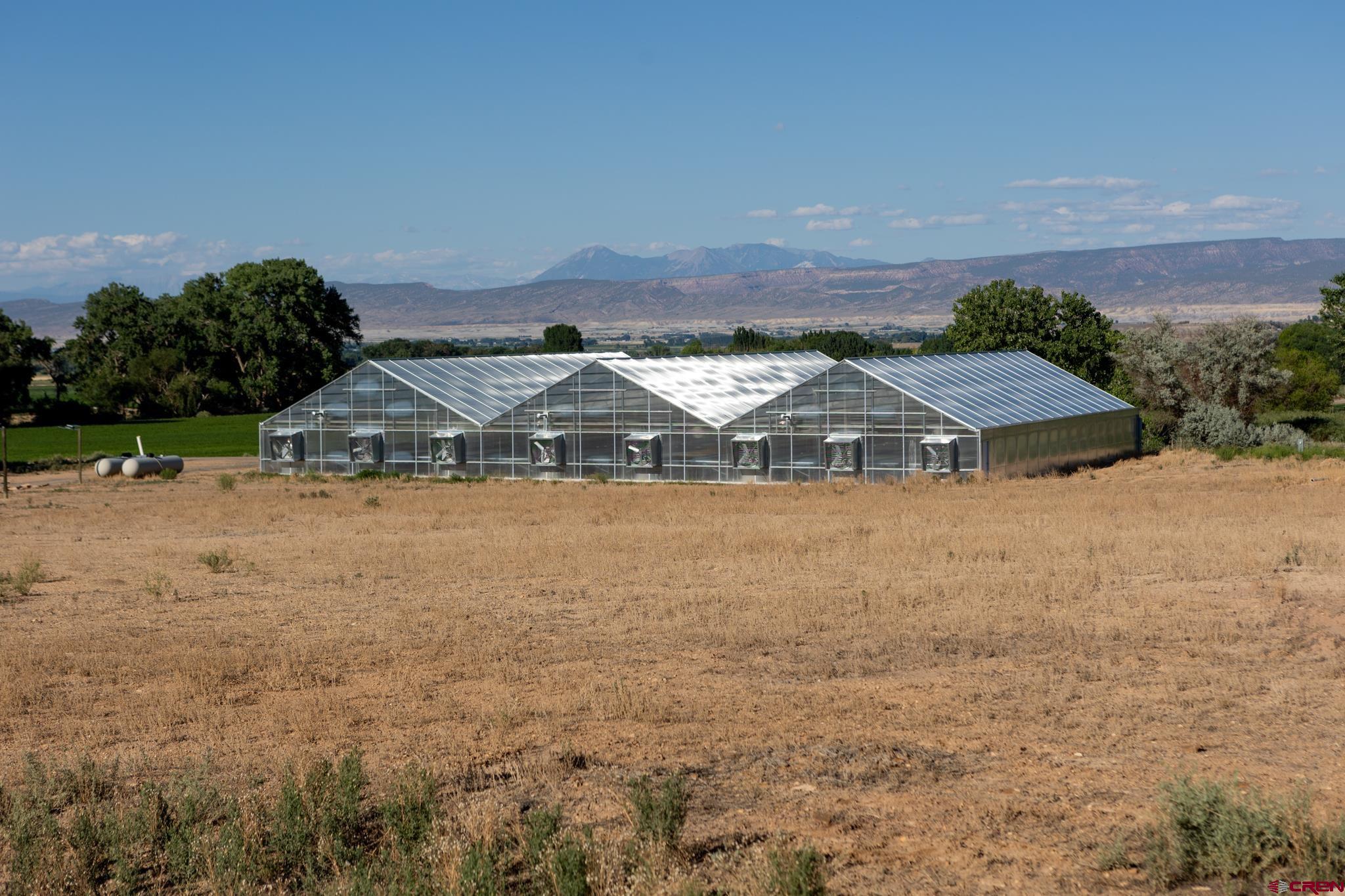 53520 Falcon Road Olathe, CO 81425 - Photo 6 of 35 a view of house with outdoor space