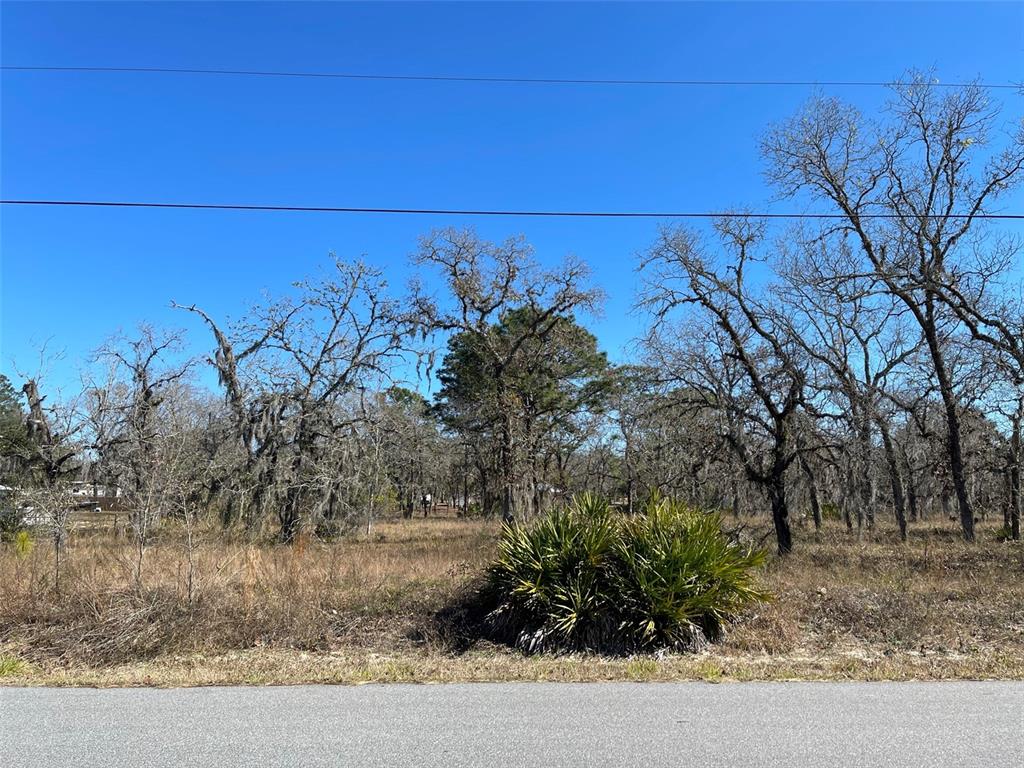 7197 South Threshold Point Homosassa, FL 34446 - Photo 1 of 1 Welcome