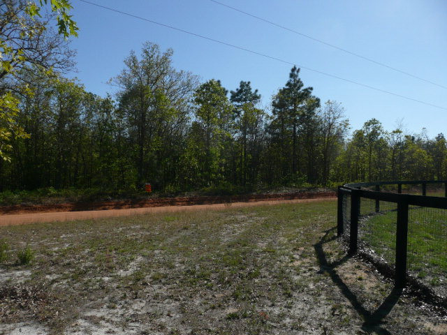 0 Windsor Road North Williston, SC 29853 - Photo 3 of 3