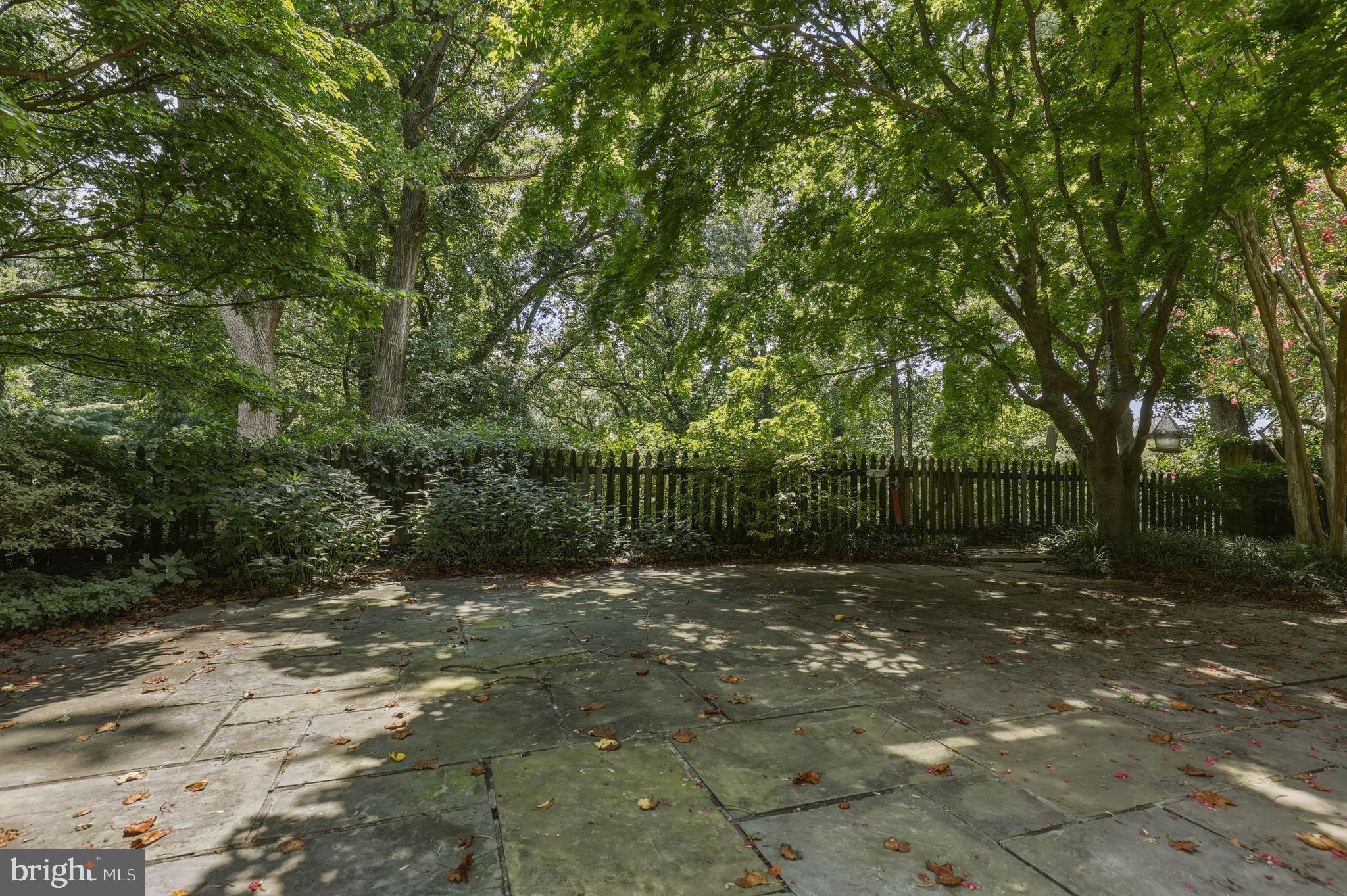 4413 Boxwood Road Bethesda, MD 20816 - Photo 47 of 53