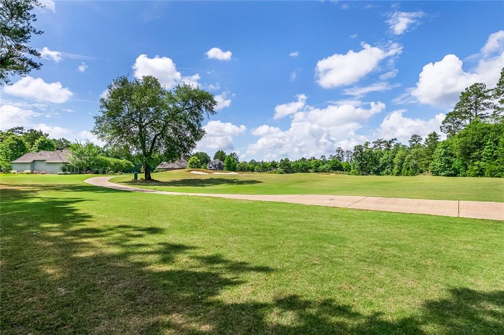 30696 Blue Wing Crescent Springfield, LA 70462 - Photo 17 of 17 Gallery Image 17