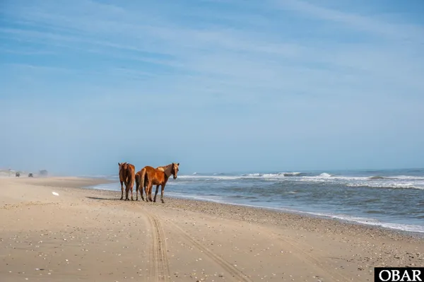 $999,000 | 2088 Sandpiper Road, Corolla, NC 27927