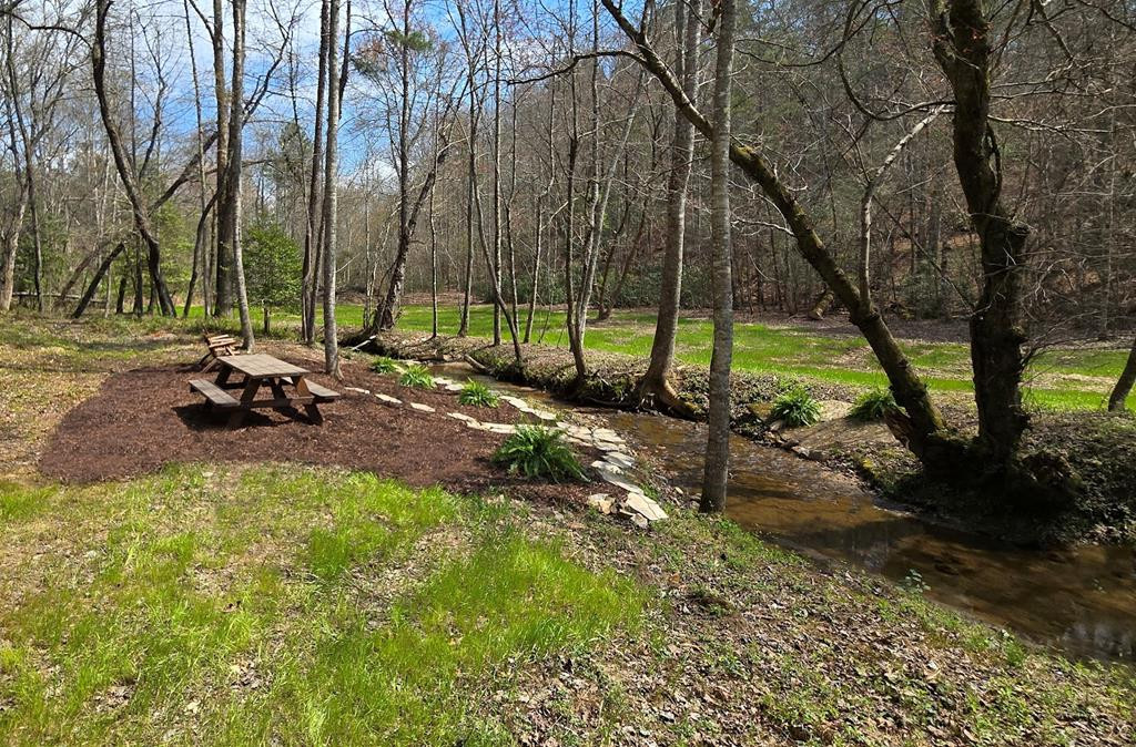 342 Hunter Ridge Murphy, NC 28906 - Photo 25 of 81 Creekside picnic area