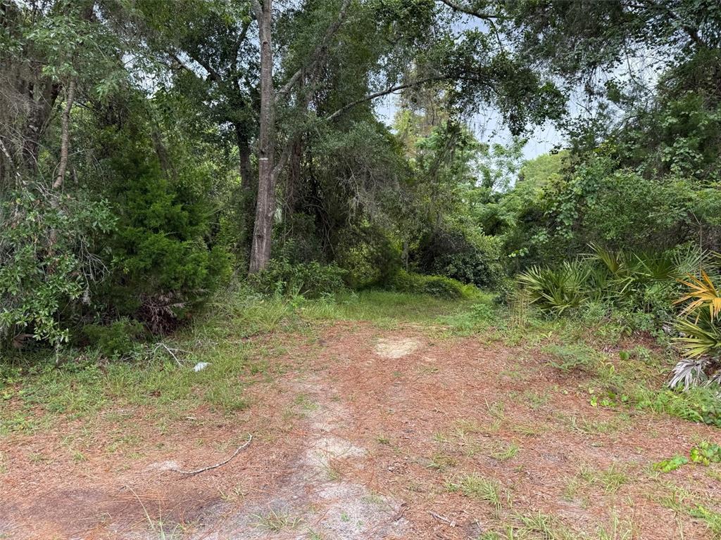 7647 West Springtime Lane, Unit 32 Homosassa, FL 34448 - Photo 1 of 1 Gallery Image 1