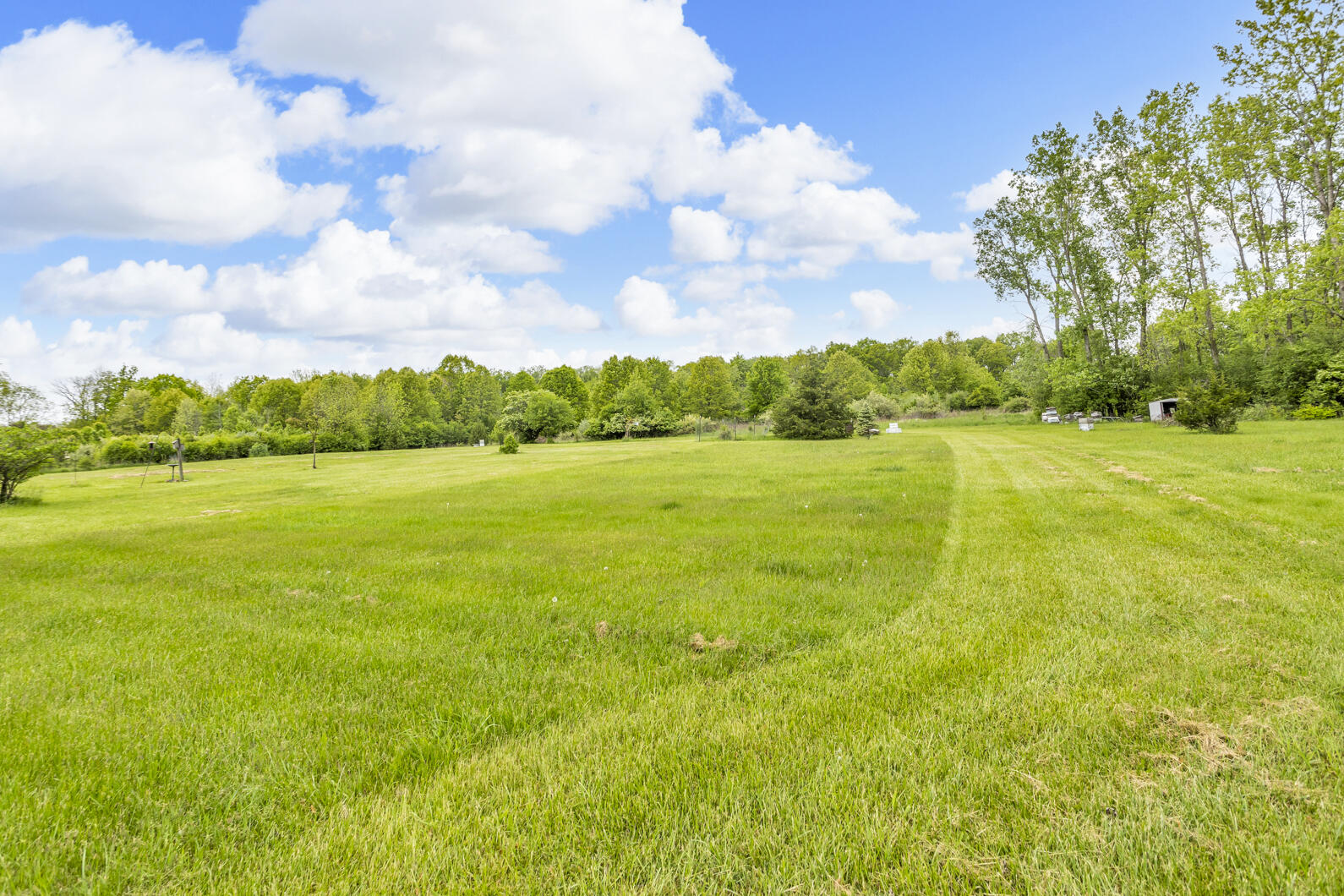 3460 Sears Road Horton, MI 49246 - Photo 45 of 49 0N0A3715