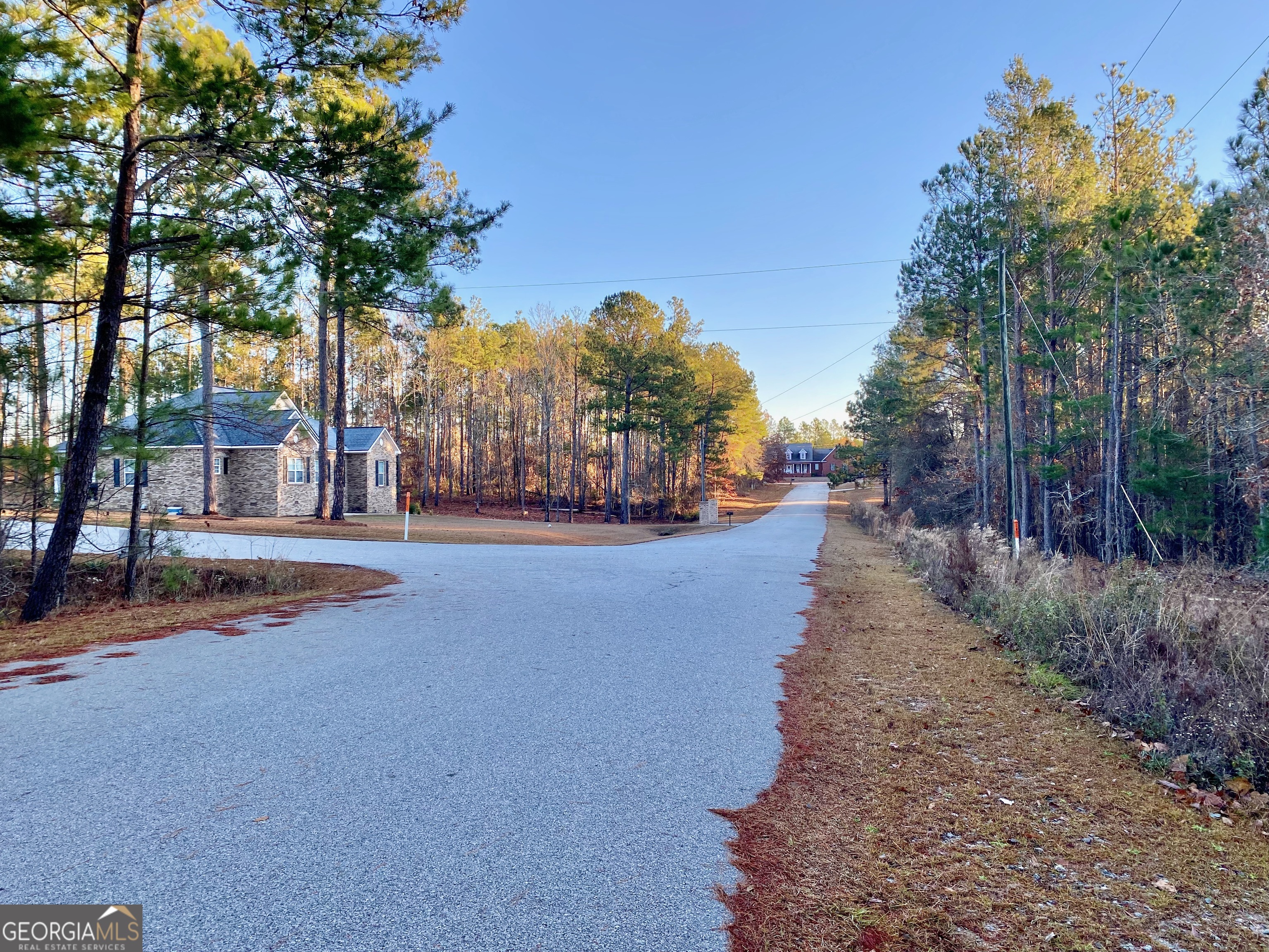 0 Oak Ridge Drive Butler, GA 31006 - Photo 3 of 5 a view of a street with trees on both side of it
