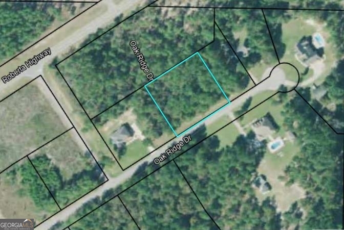 0 Oak Ridge Drive Butler, GA 31006 - Photo 4 of 5 a view of swimming pool from a balcony