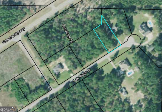 0 Oak Ridge Drive Butler, GA 31006 - Photo 5 of 5 a view of a balcony