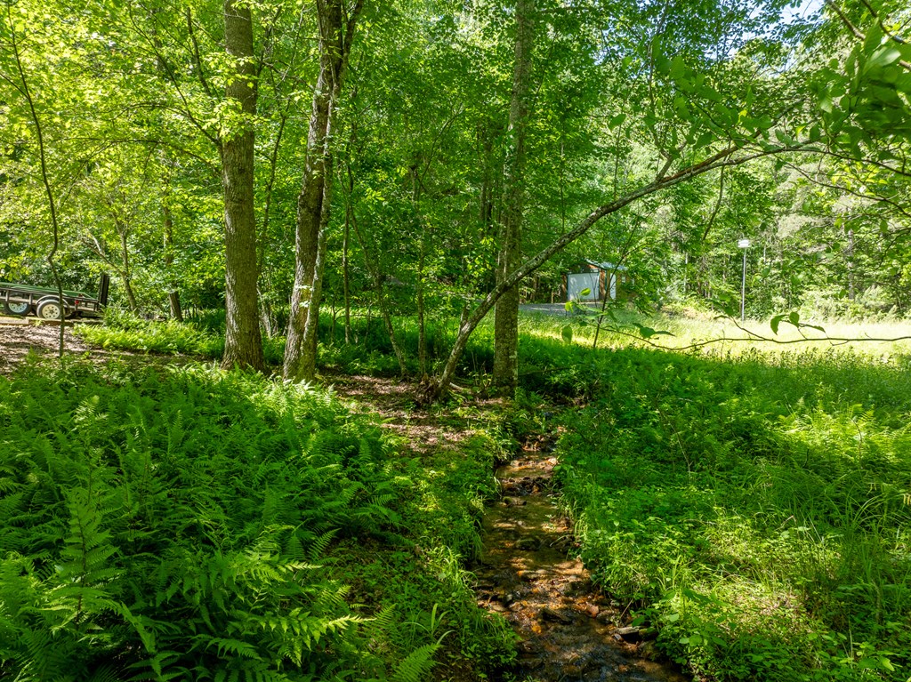 724 Fish Cove Road Blairsville, GA 30512 - Photo 20 of 91 Gallery Image 20