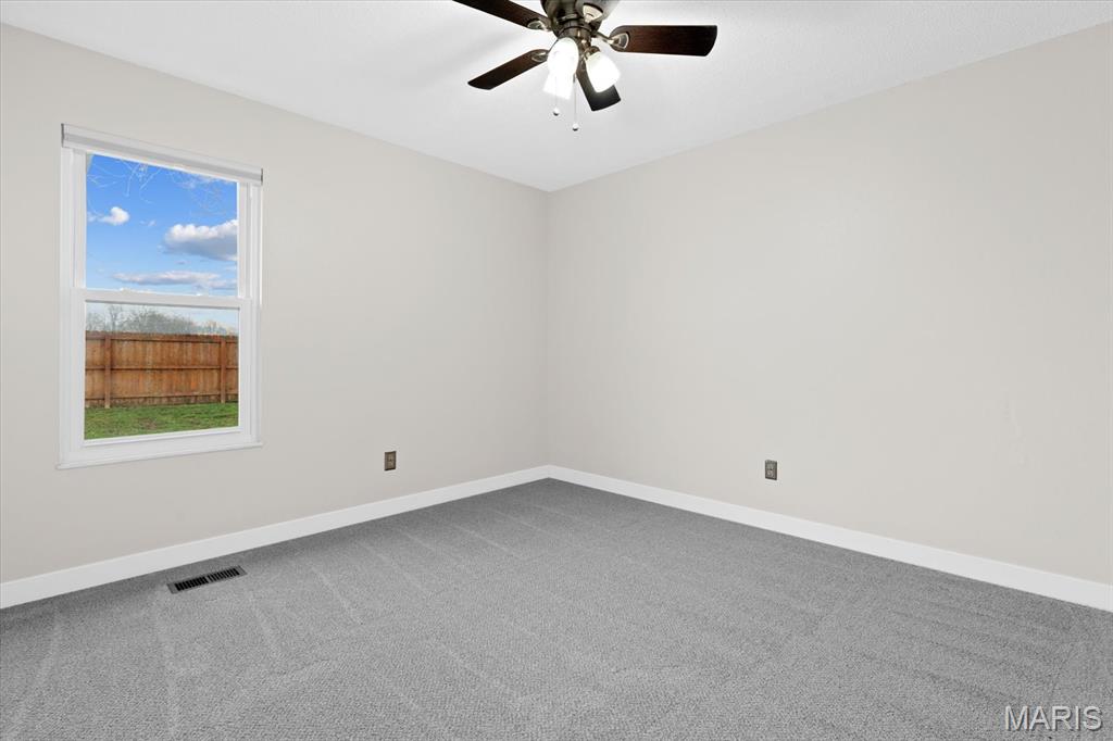 1113 Sycamore Place O'Fallon, IL 62269 - Photo 31 of 43