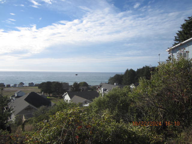 60 Spruce Road Shelter Cove, CA 95589 - Photo 8 of 21