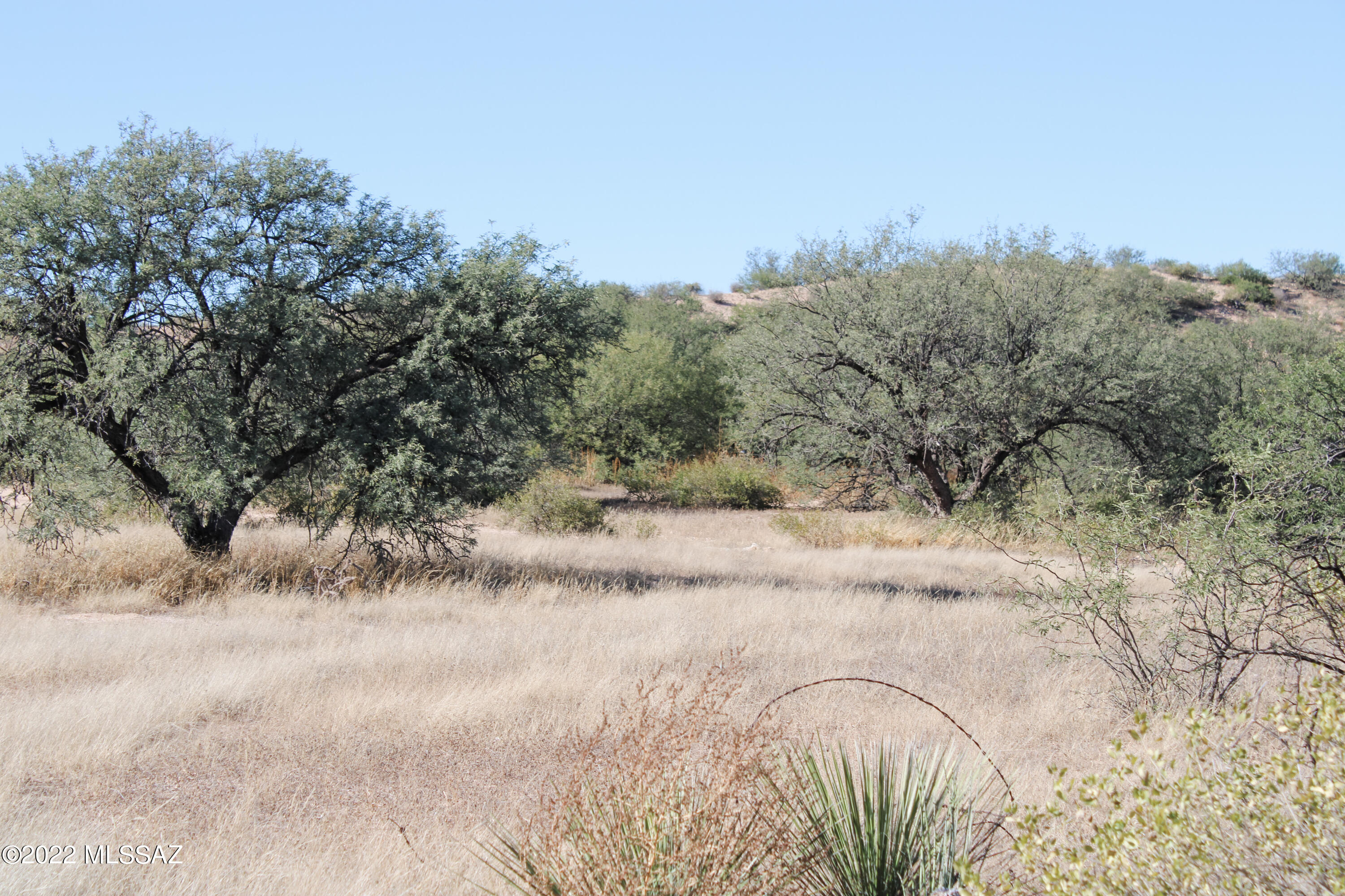 574 South Flynn Road, Unit C St. David, AZ 85630 - Photo 16 of 31