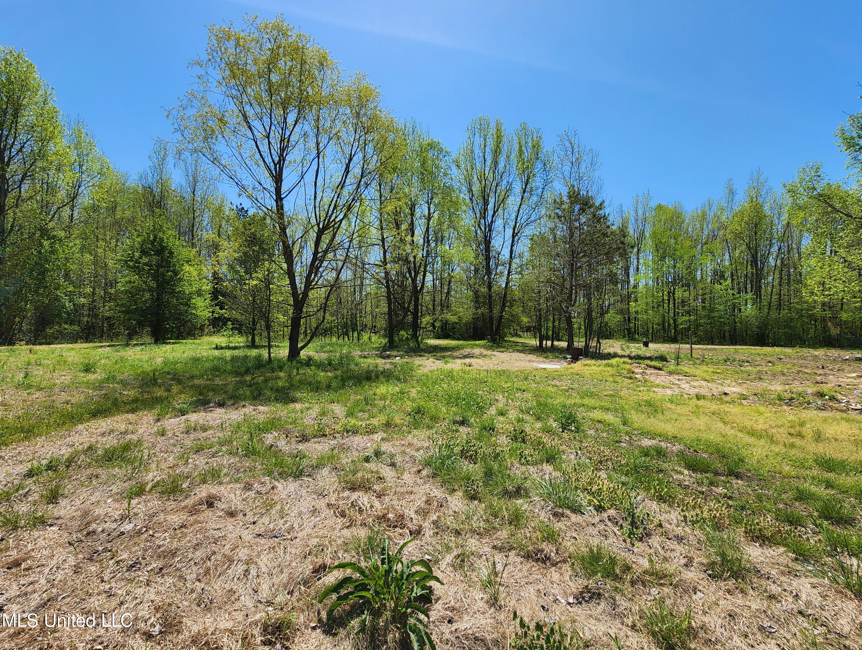268 Valley View Road Byhalia, MS 38611 - Photo 1 of 6 2