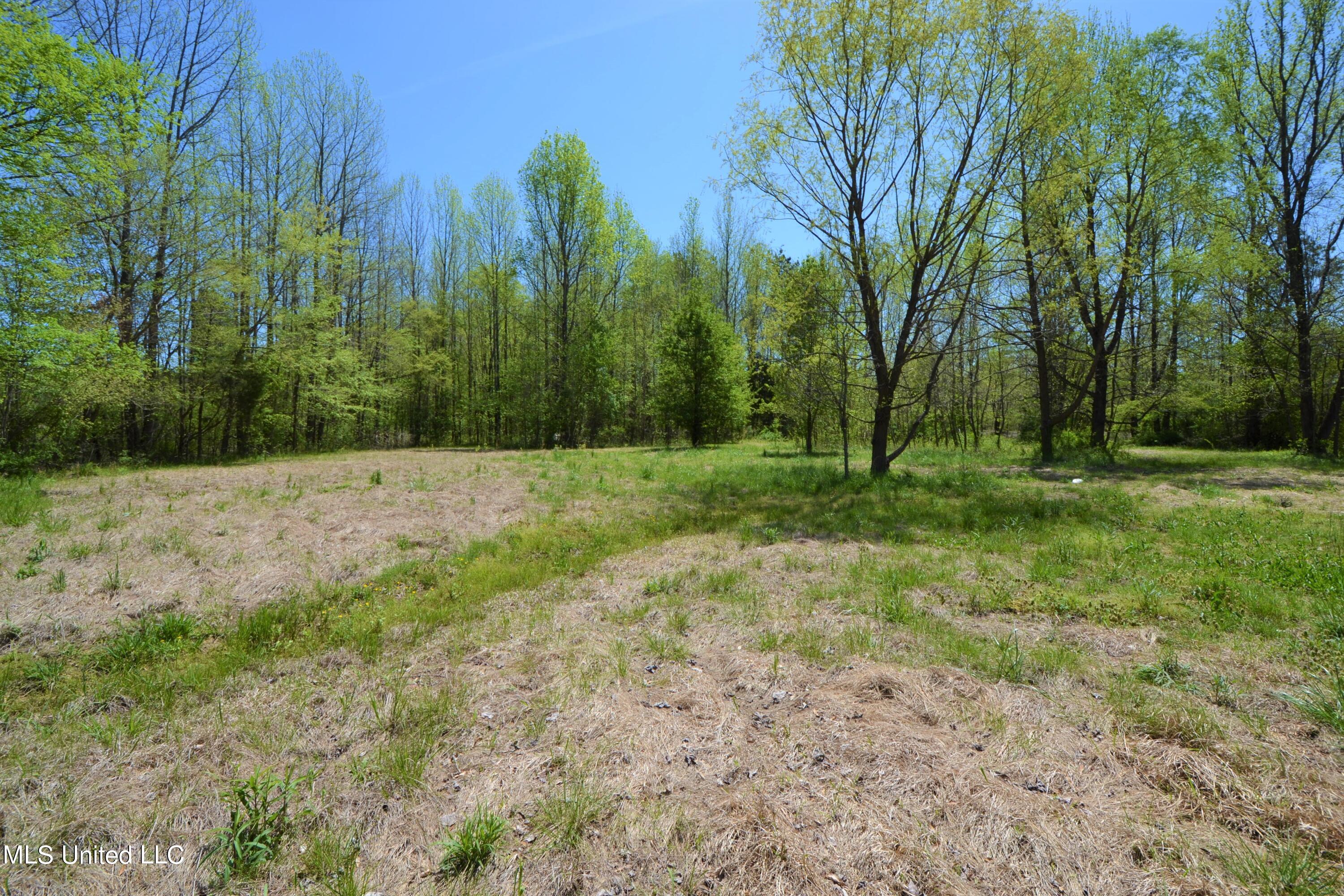 268 Valley View Road Byhalia, MS 38611 - Photo 3 of 6 4