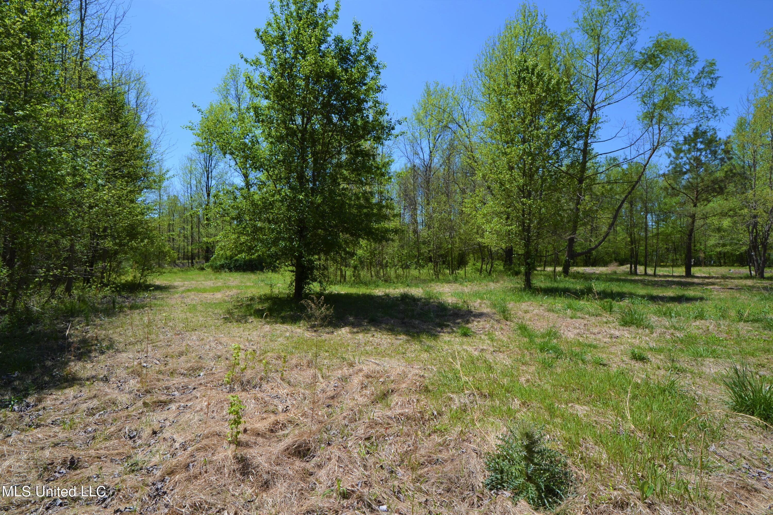 268 Valley View Road Byhalia, MS 38611 - Photo 4 of 6 5