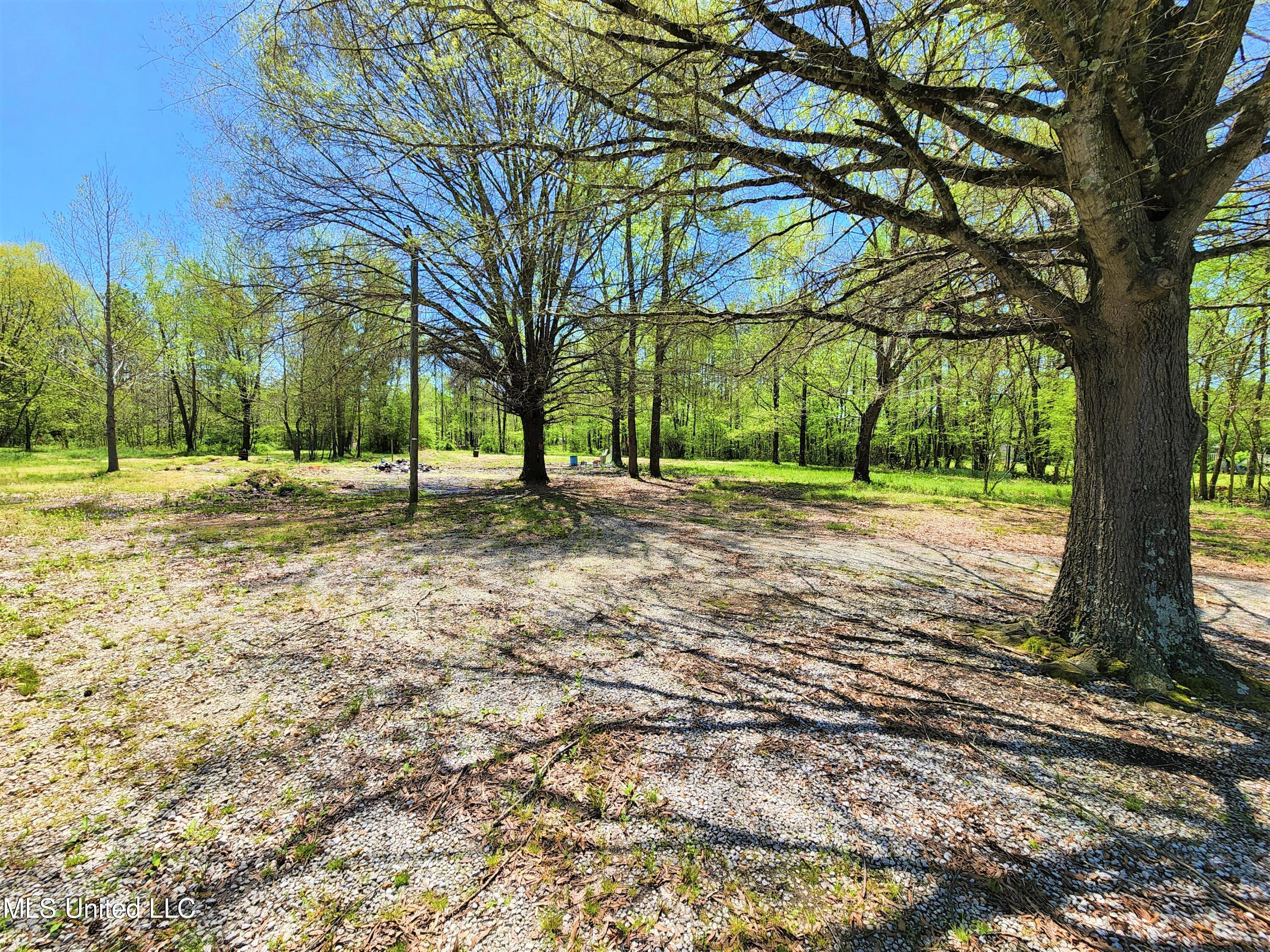 268 Valley View Road Byhalia, MS 38611 - Photo 5 of 6 6
